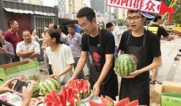 朝阳吃瓜群众网,揭秘娱乐圈幕后故事，带你领略不一样的娱乐圈