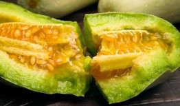 吃瓜是什么意思 吃瓜黑料精品一区,一区黑料精品，带你领略网络热议背后的真相